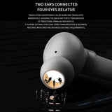 areon noise cancelling earbuds