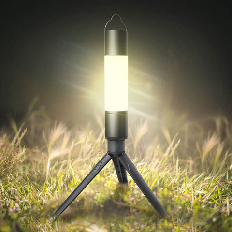Reiset 300LM Convertible Torchlight