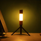 Reiset 300LM Convertible Torchlight