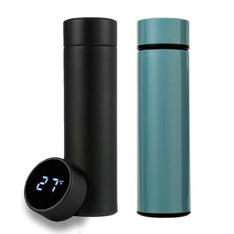 Water Bottle with Temperature Display